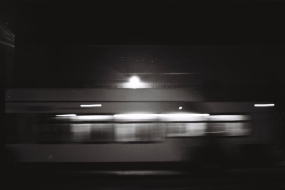 Image of Night life