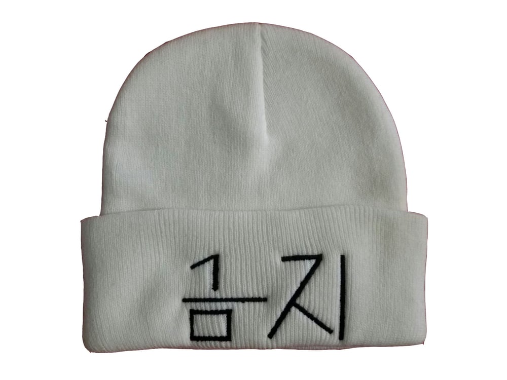 Image of 4bidden Beanie