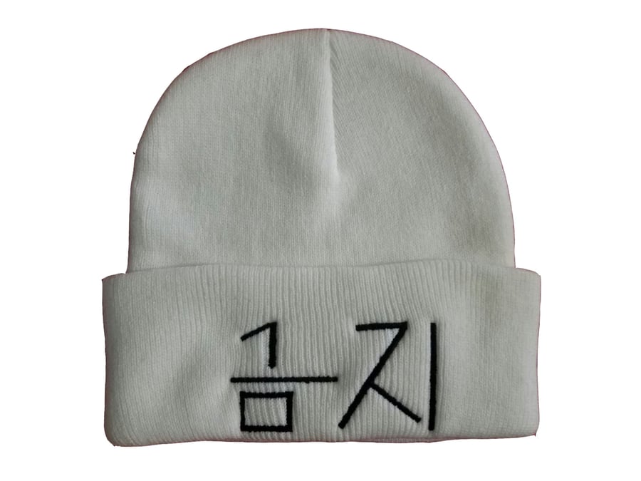 Image of 4bidden Beanie