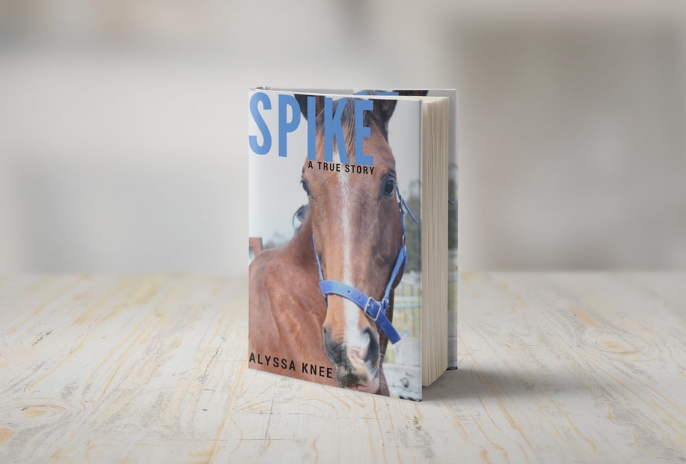 Image of Spike - The Novel (LIMITED EDITION SIGNED PRE-ORDER COPY)