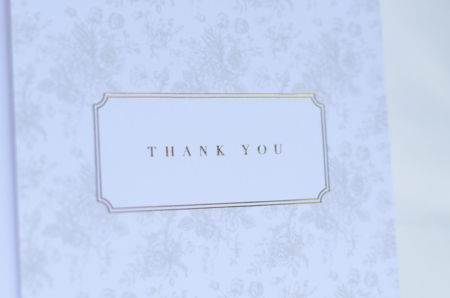 Image of Thank You