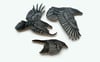 Set of 3 Crows