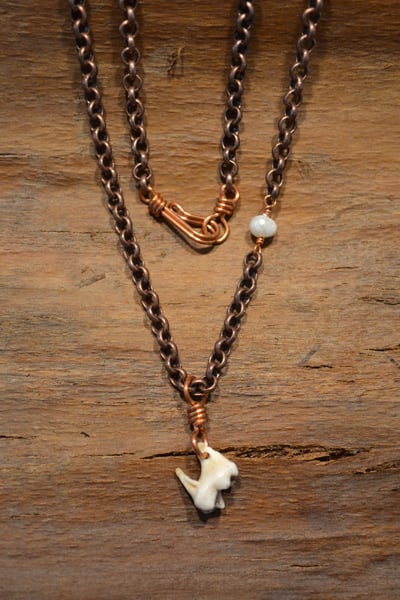 Image of Racoon Tooth Necklace