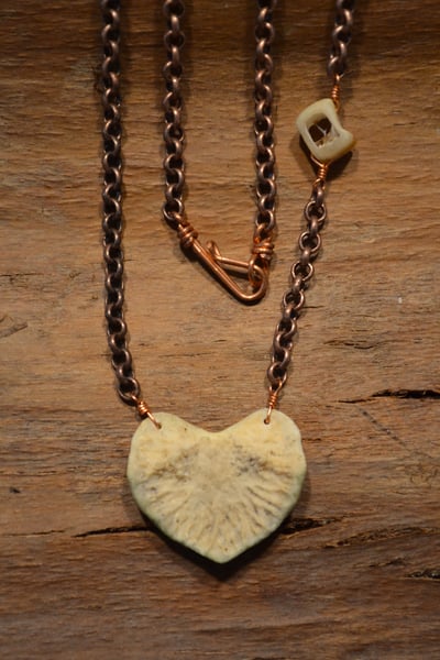 Image of Deer Bone Growth Plate Necklace