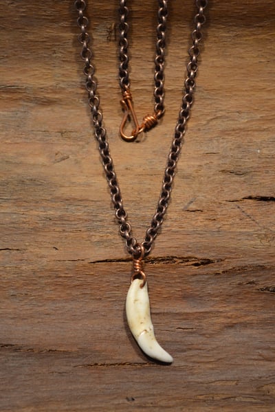 Image of Racoon Canine Necklace