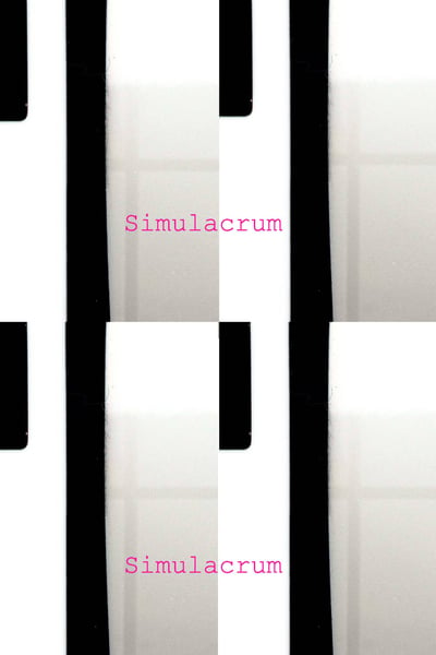 Image of Simulacrum (Softcover)
