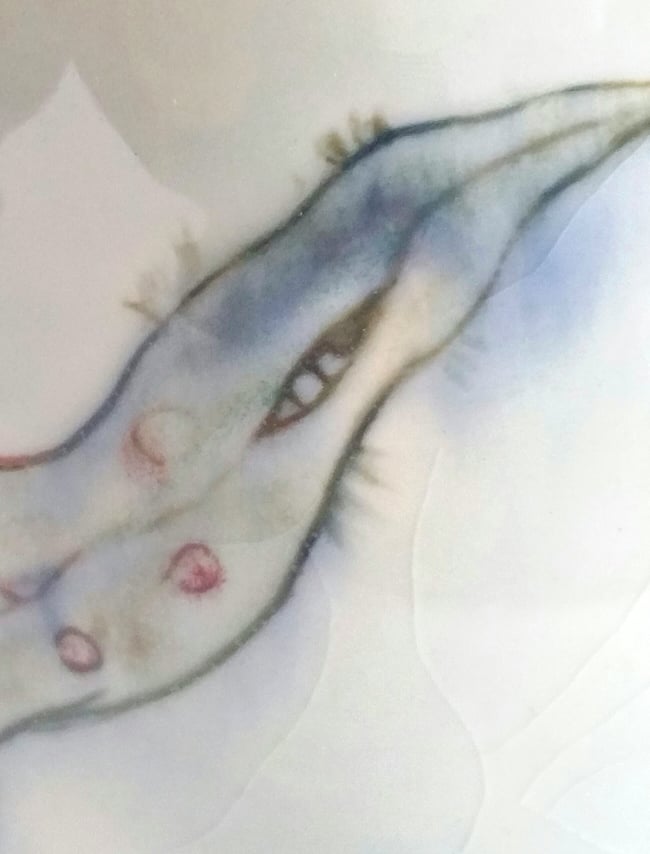 Metamorphosis   Porcelain Vase