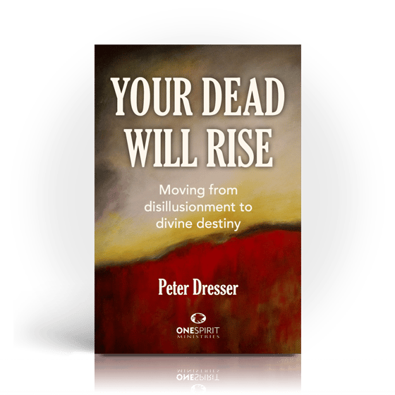 Image of Your Dead Will Rise: Moving from Disillusionment to Divine Destiny - Peter Dresser