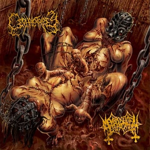 Image of CEPHALOTRIPSY / MEMBRO GENITALI BEFURCATOR Split CD