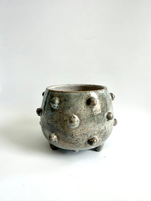 Image of Dot planter 