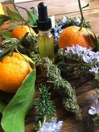 Image 1 of Rosemary Tangerine Medicinal Massage Oil
