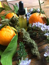 Rosemary Tangerine Medicinal Massage Oil