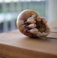 Image 12 of Dental Snull sculpture- blonde bone color, OOAK