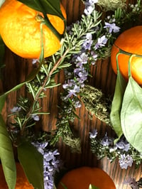 Image 3 of Rosemary Tangerine Medicinal Massage Oil