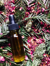 Image 1 of Redwood and Rose Medicinal Massage Oil