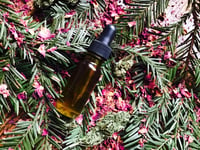 Image 3 of Redwood and Rose Medicinal Massage Oil