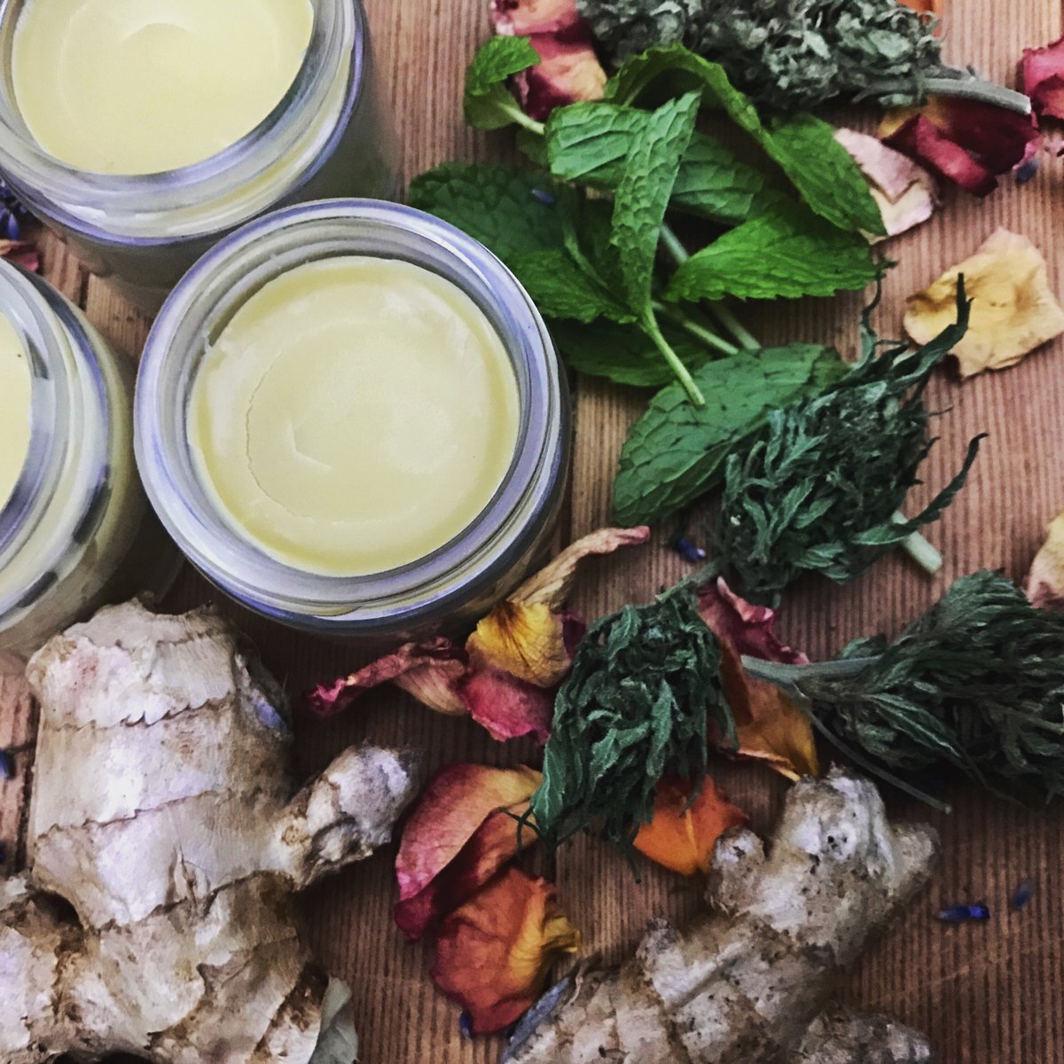Image of Deeply Rooted Medicinal Salve