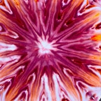 Image 4 of Spiced Violet Procion Dye Mix for Ice Dye (SEASONAL)