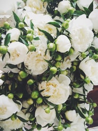 Image 3 of Floral Fundamentals Workshop :: ROMANCED BY PEONIES June 5th