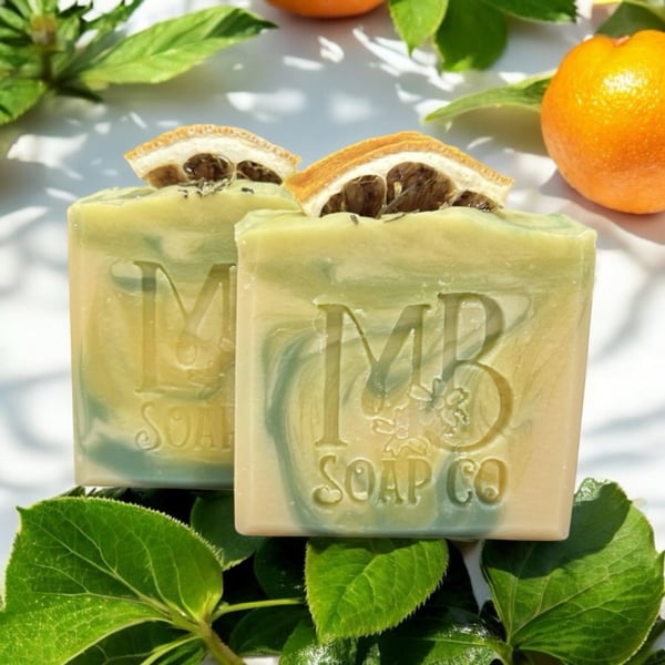 Image of Citrus Evergreen Bath Bar