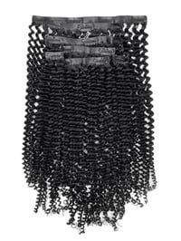 Kinky Curly Clip-In Extensions 
