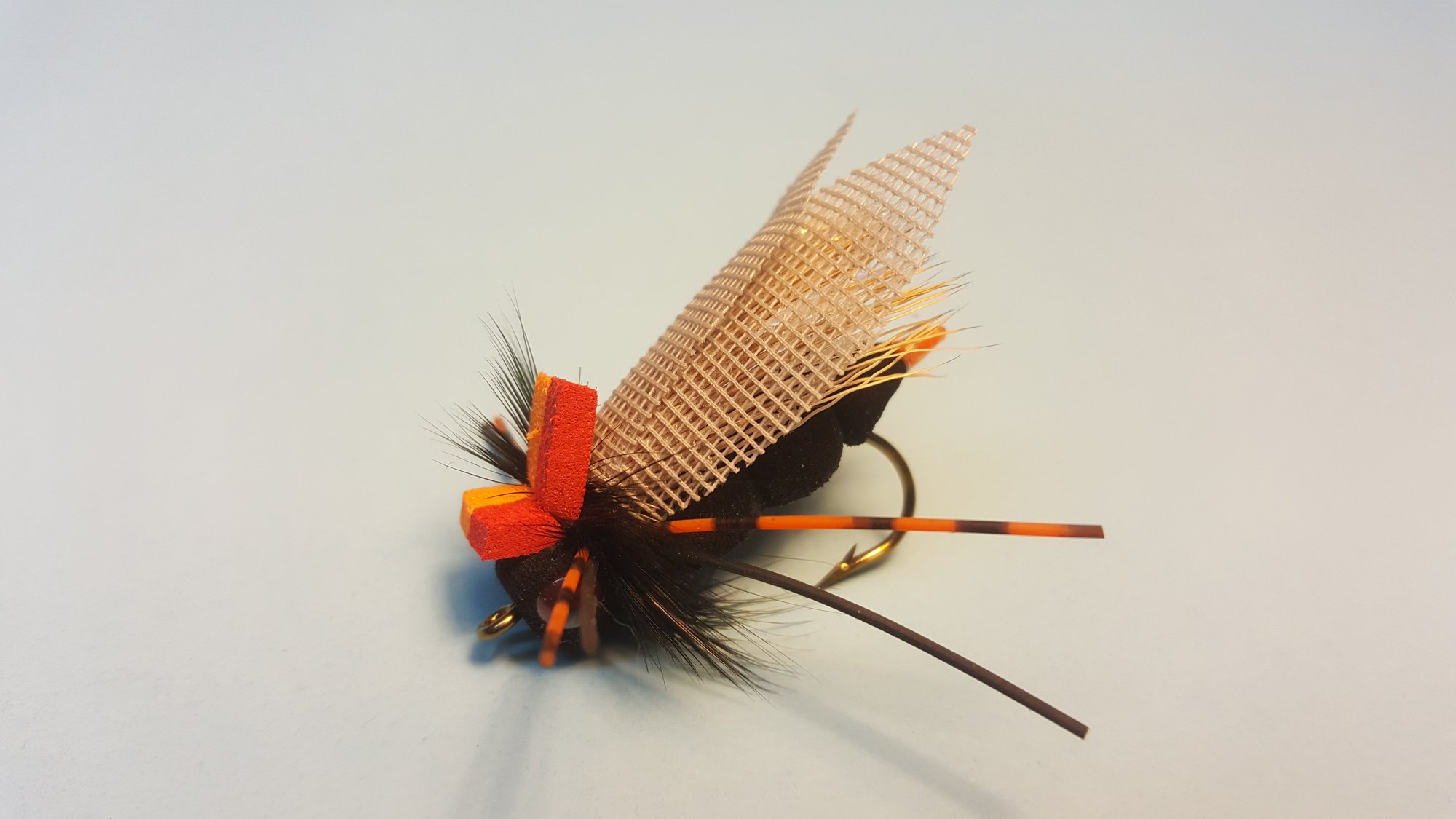 Ultimate Cicada  Eastern Trophies Fly Fishing