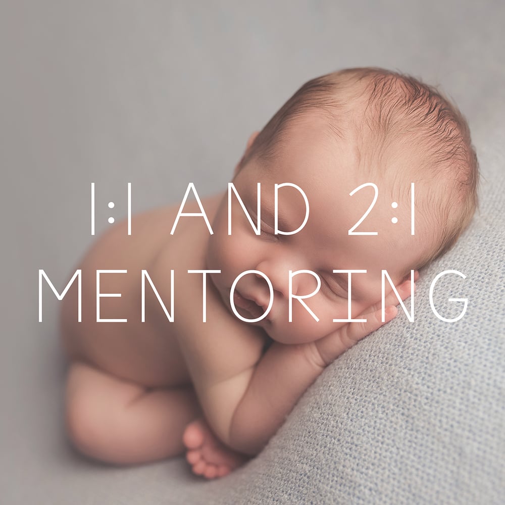 Image of 1:1 or 2:1 Mentoring