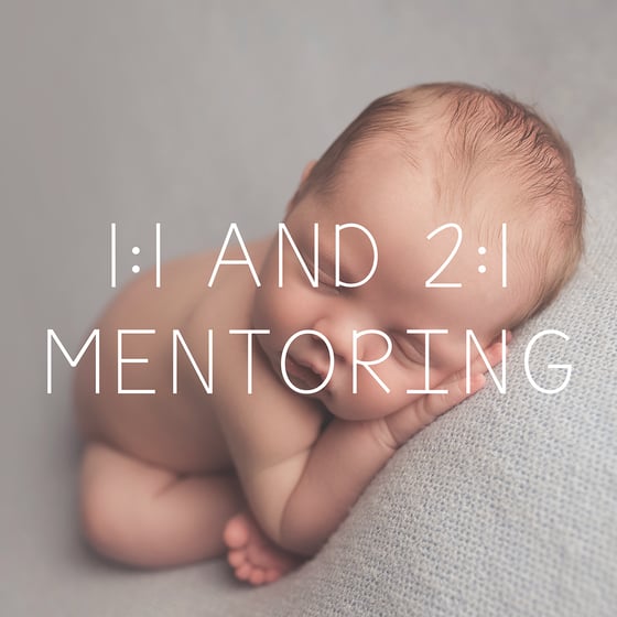 Image of 1:1 or 2:1 Mentoring