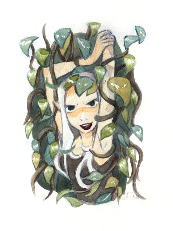 Image of Nymph "Vines"