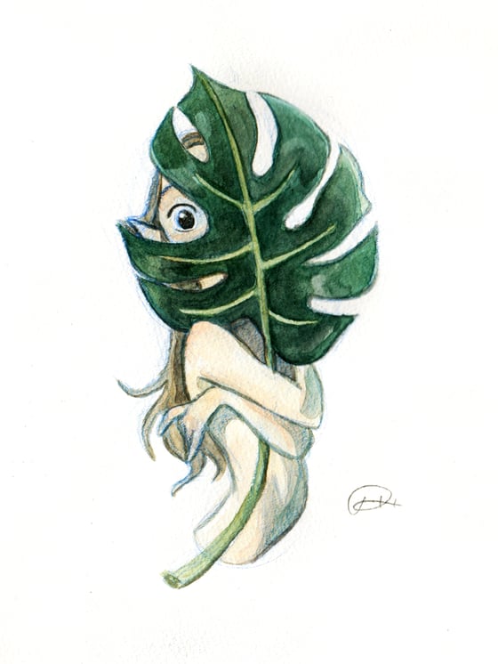 Image of Nymph "Hiding Behind the Palm Leaf"