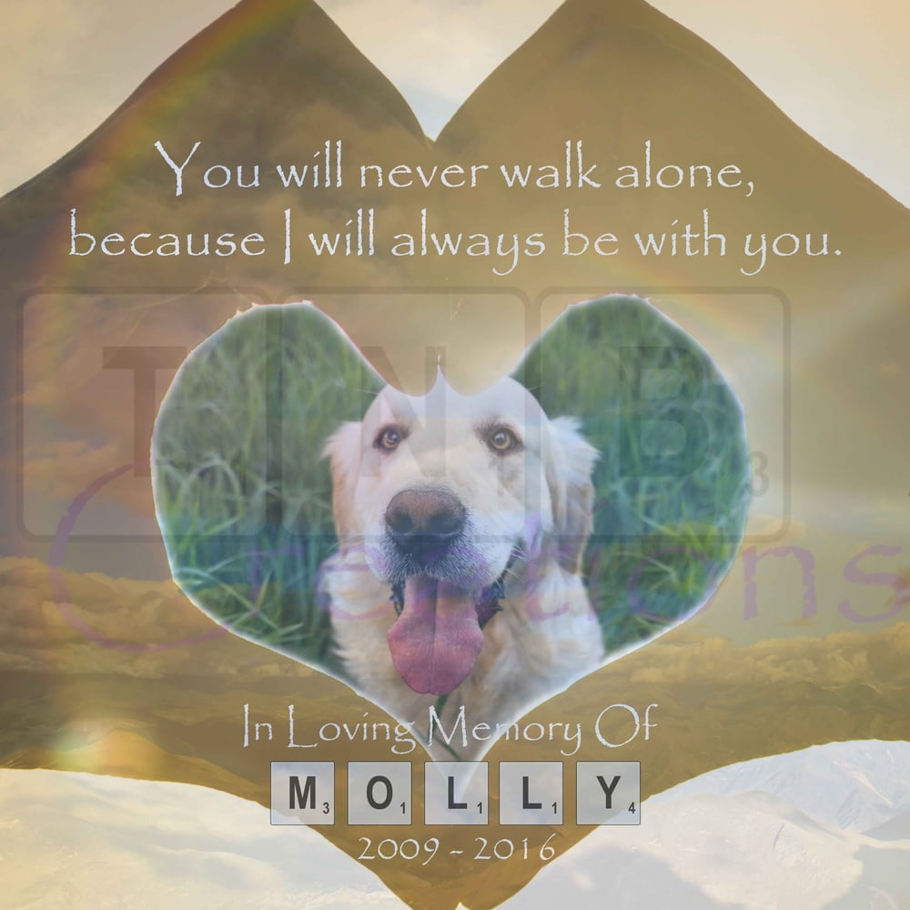 Image of Rainbow Bridge