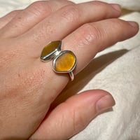 Image 5 of AMBER DUO RING (N)