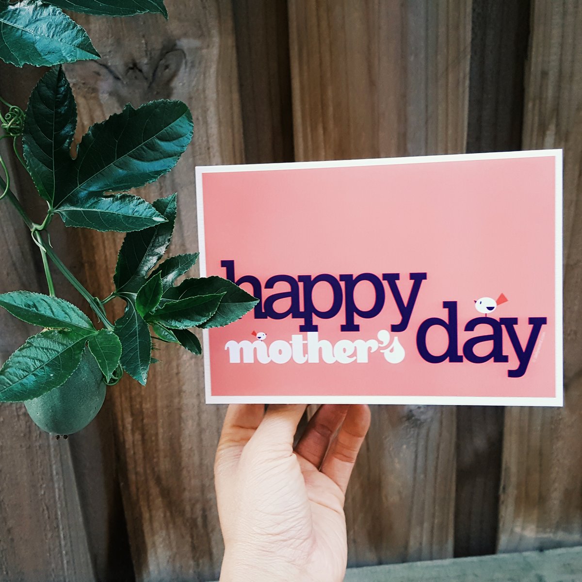 Image of Mother's day greeting card A6