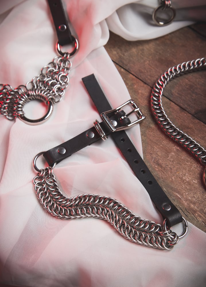 Image of Hydra Geminus Choker