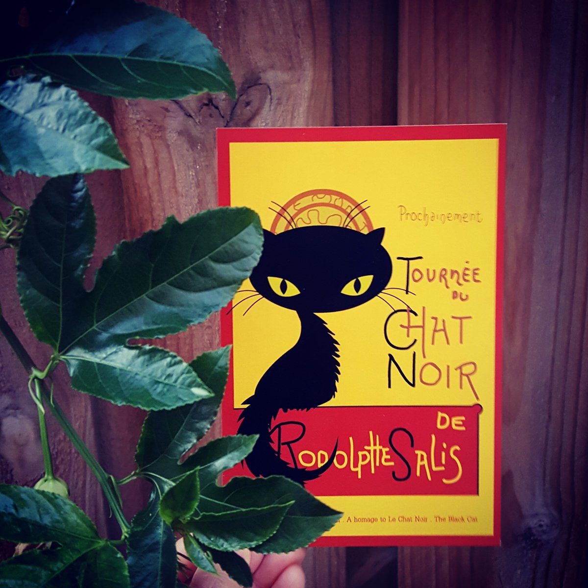 canvasfound | Le Chat Noir fanart A6 postcard or 5x8