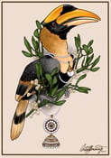 Image of Hornbill Print