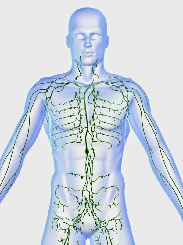 Image of Manual Lymphatic Drainage