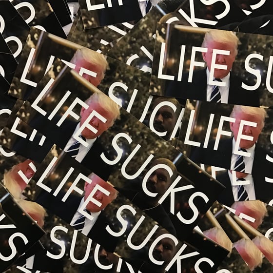 Image of 2 Life Sucks Stickers