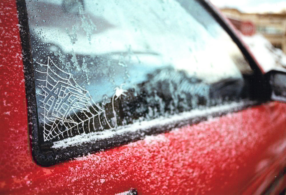 On the web