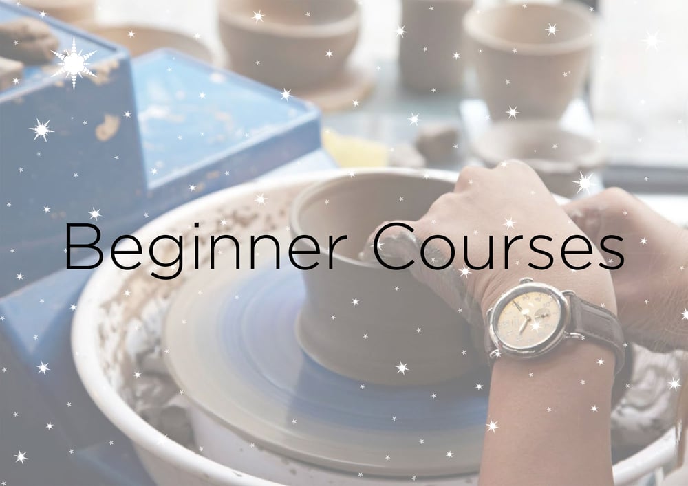 Image of Beginner Course