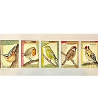 Image 4 of UK Garden Birds 