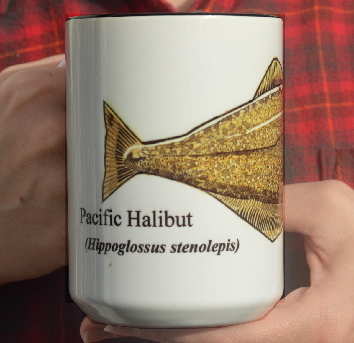 The Halibut Mug