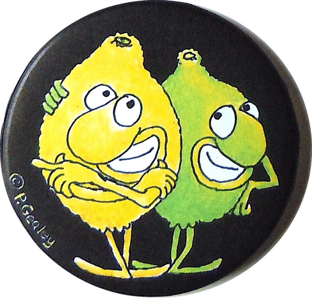 Image of Lemon & Lime magnet or pin