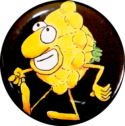 Image of Summer Squash magnet or pin