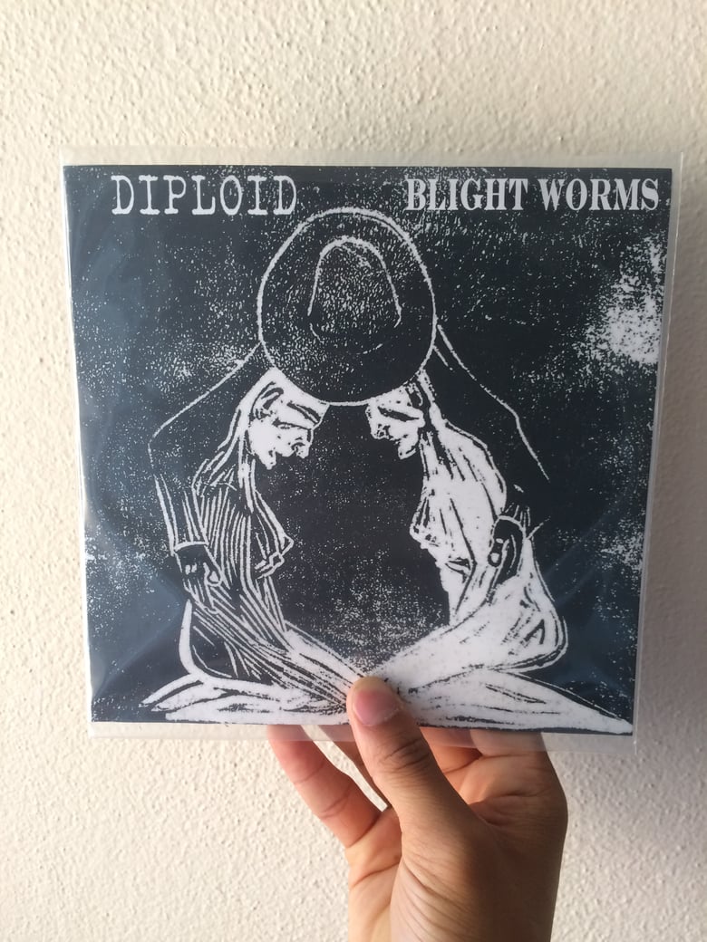 Image of Diploid & Blight Worms split 7"