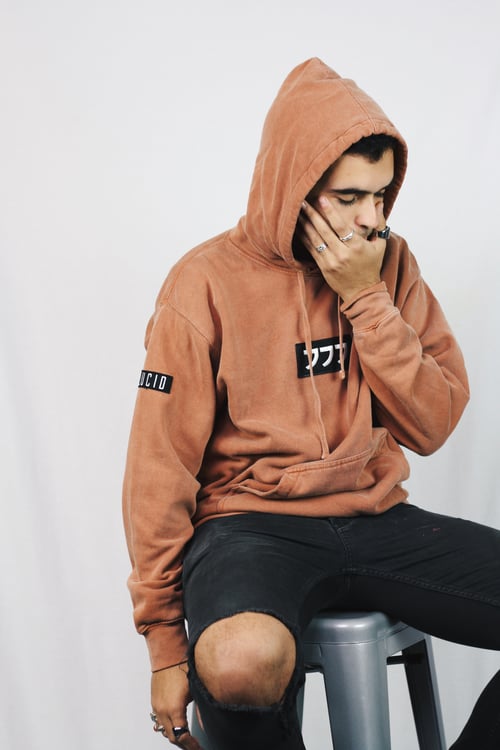 Image of LUCID LOGO HOODIE VOL. II - YAM