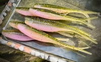 Image 3 of Tracer Shads - RAINBOW TROUT