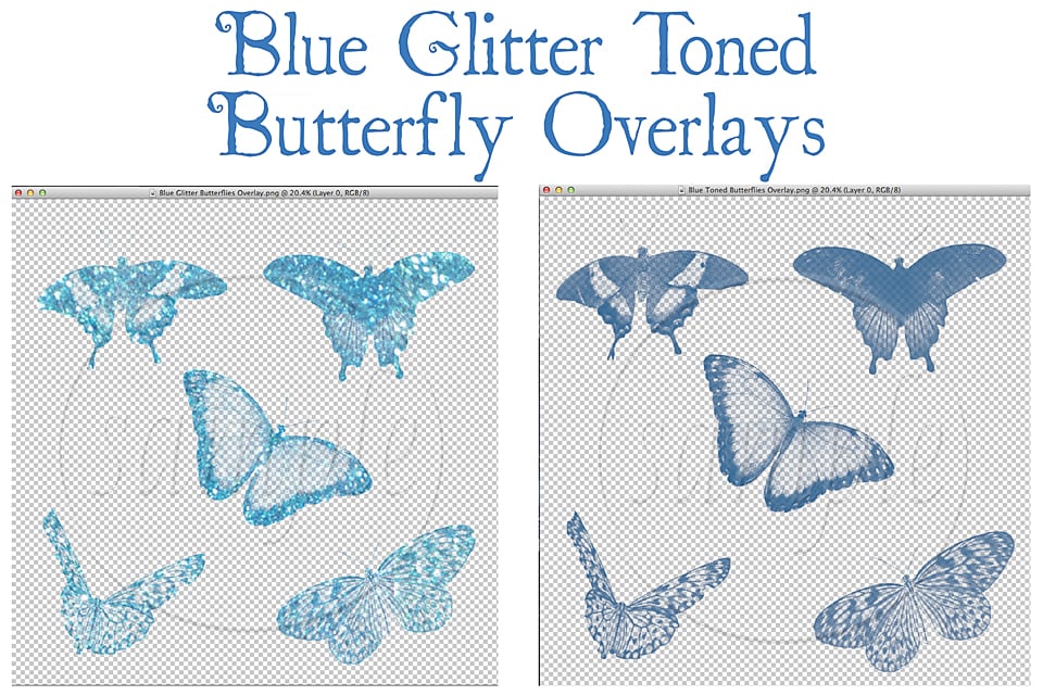 Image of Blue Glitter Toned Butterfly Overlays