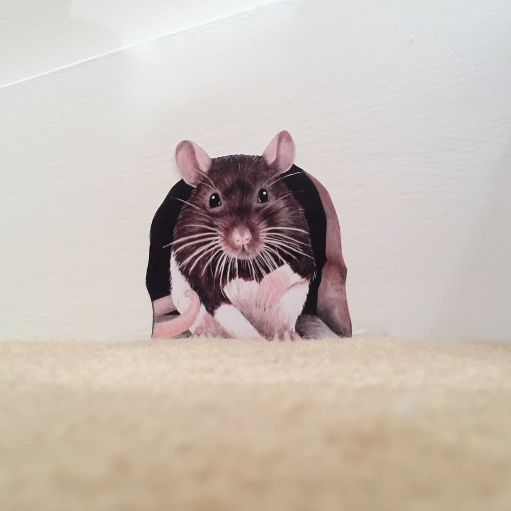 Image of Rathbone (Ratty) ~ Removable Wall sticker 