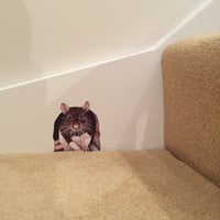 Image 2 of Rathbone (Ratty) ~ Removable Wall sticker 